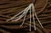 8 Strand 550 Paracord - Coyote Brown - 100' Hank